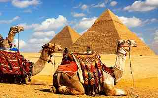 поиск туров в египет онлайн